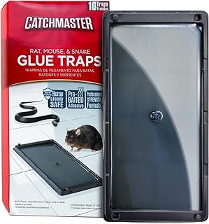 rodent traps